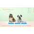 Biophilia Guardian A1 for Dog scan and therapy