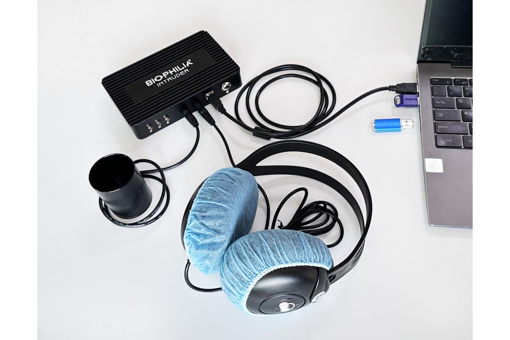 NLS achieves therapeutic effects by means of the biological magnetic field