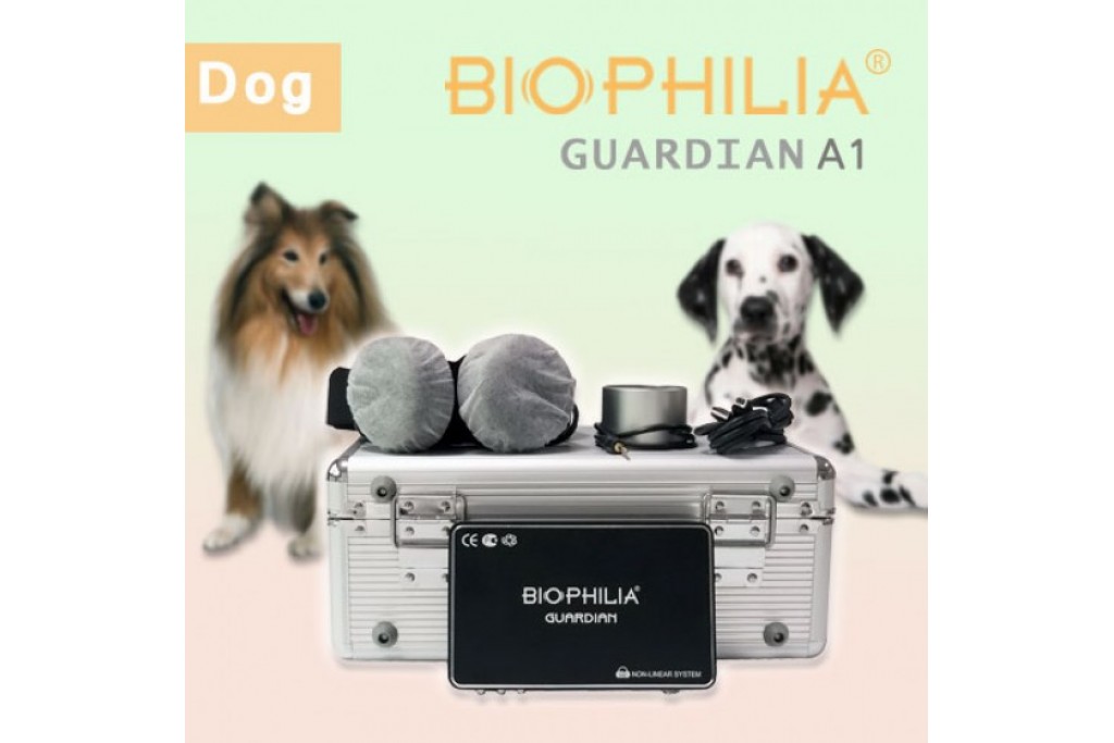 About the installation and new card of the dog software in Biophilia Guardian