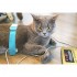 Quantum analyzer Pet Health Scanner for Dog and Cat
