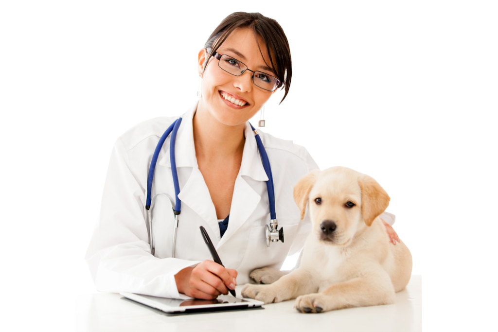 Caring for cute animals