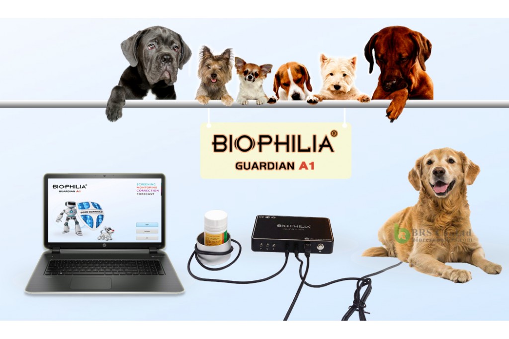 Has Biophilia Guardian A1 become a new necessity for canine health? Has Biophilia Guardian A1 become a new necessity for canine health?