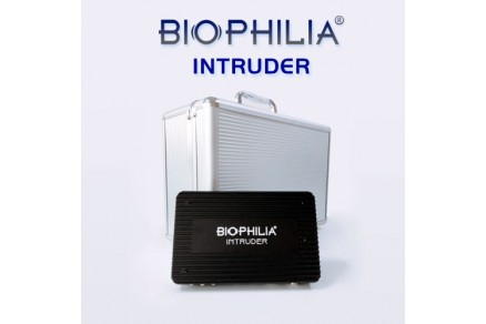 Biophilia Intruder and gastric ulcer