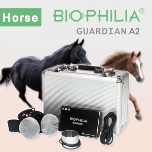 Biophilia Guardian A2 for horse scan and therapy