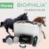 Biophilia Guardian A2 for horse scan and therapy